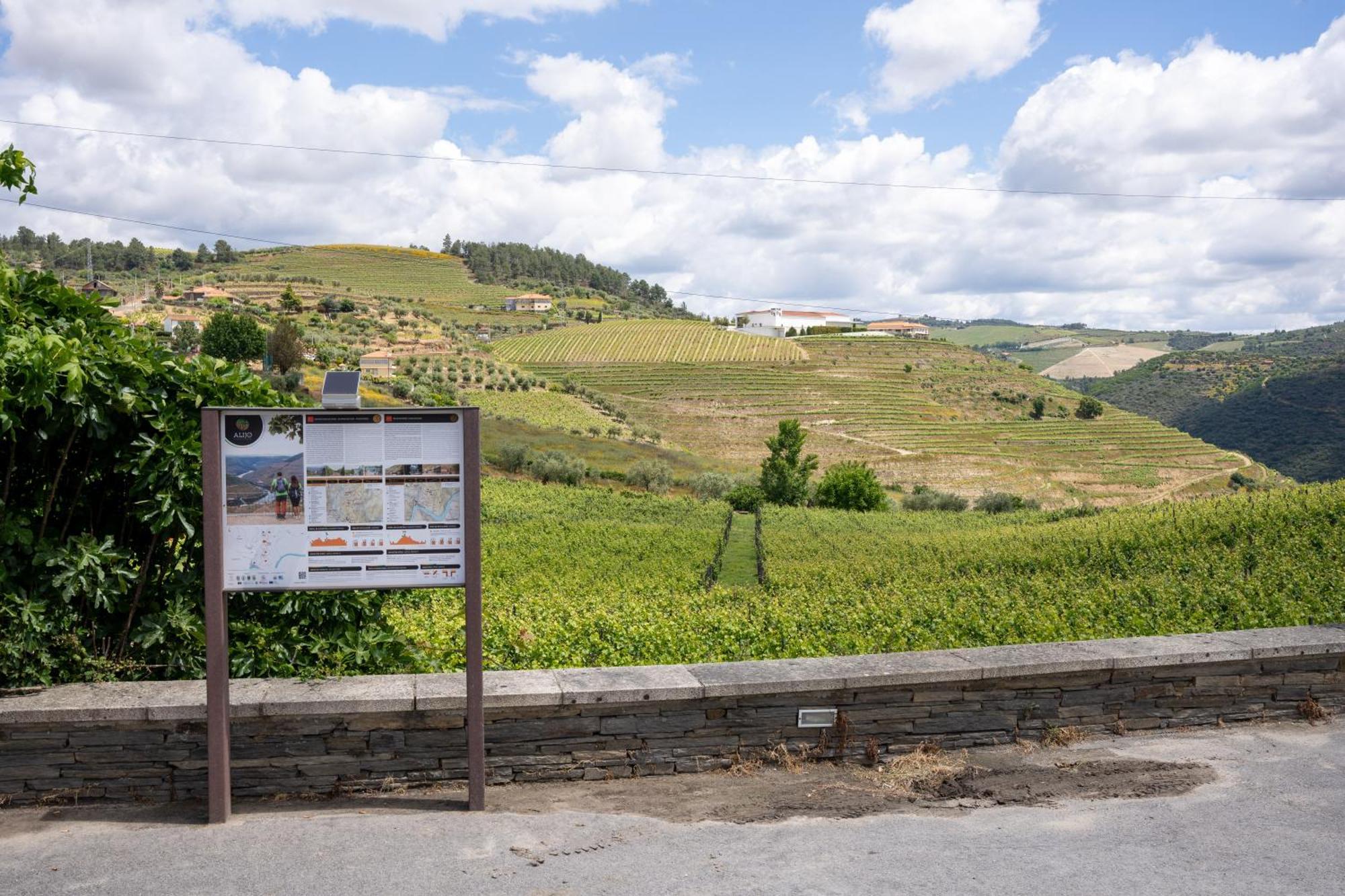 Casa Dona Edite Guesthouse Douro Vilarinho de Cotas Exterior photo